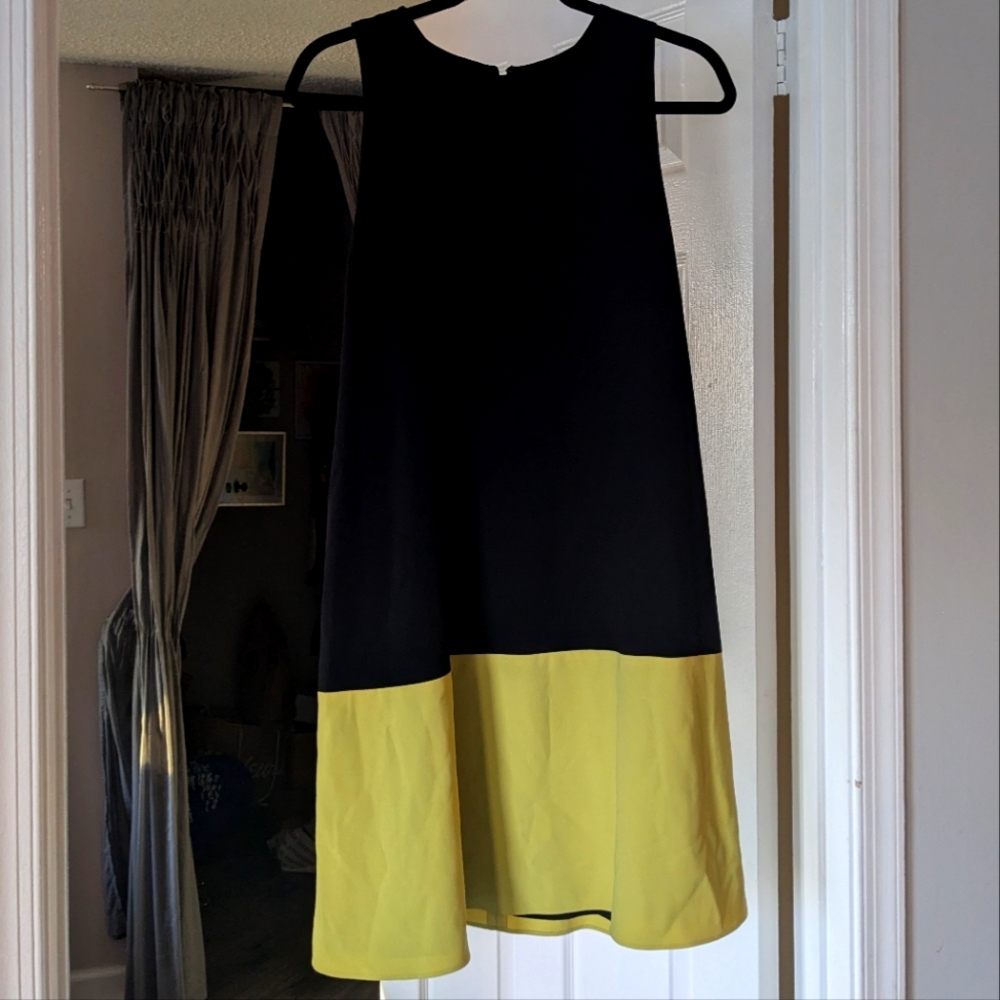 Alice + Olivia sleeveless dress